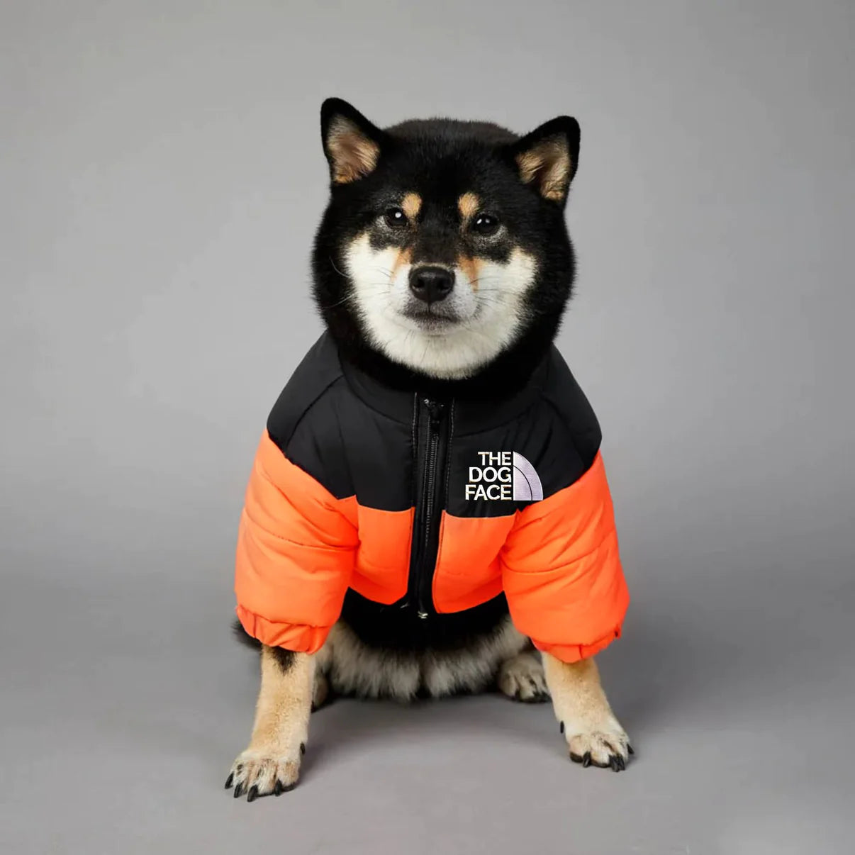 Dog Puffer Jacket