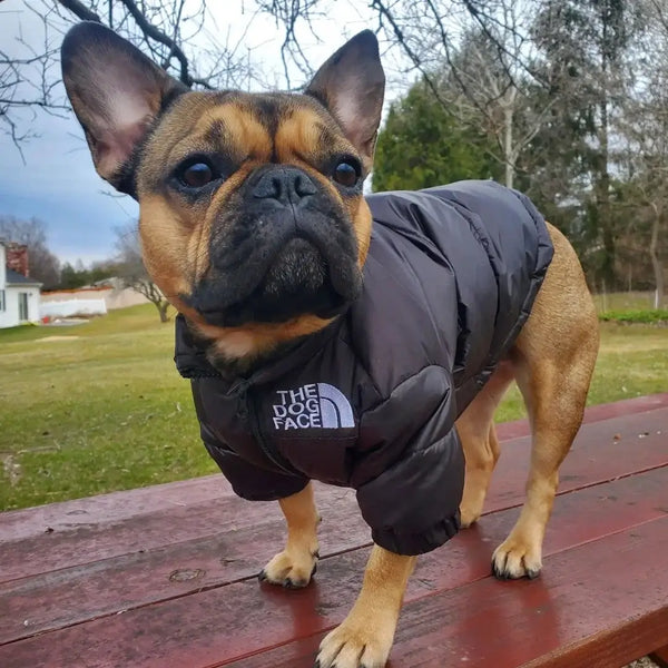 Dog Puffer Jacket