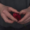 Load and play video in Gallery viewer, The Forever Rose Necklace